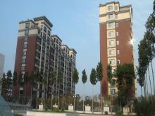 潍坊市和春住住宅楼，，，，，，获得2013年度潍坊市“优质结构杯质量奖”